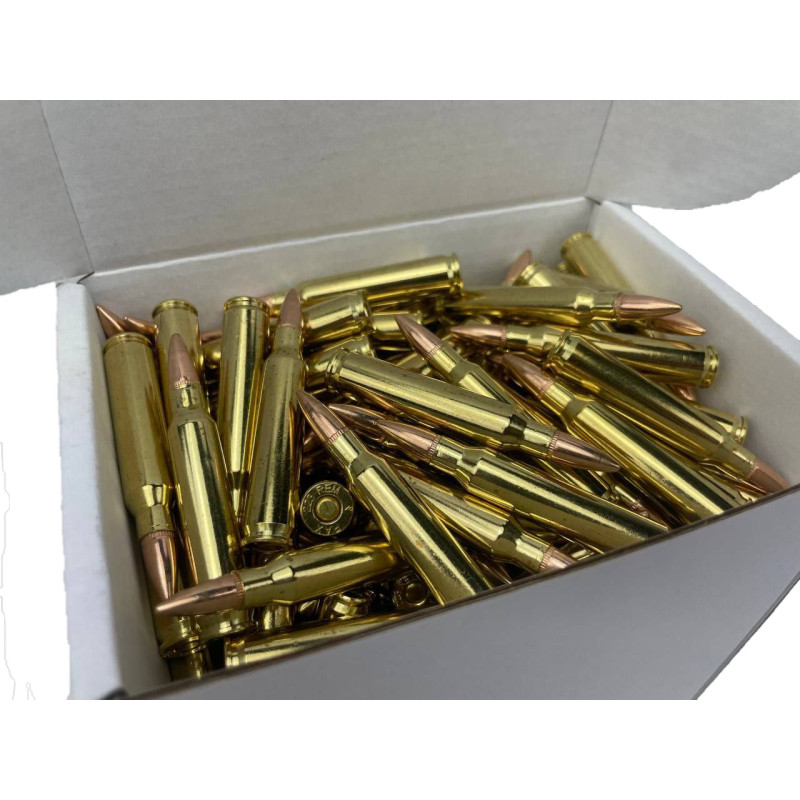 PAX .223Rem 55gr FMJ, 1000 Schuss